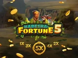Habesha Fortune 5 game icon